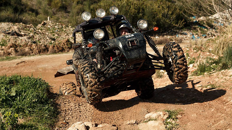 Trail Ride Buggy